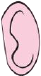 oreille gauche