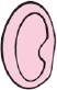 oreille droite